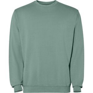 Roly Unisex Adult Jaya Crew Neck Sweatshirt / Dark Green